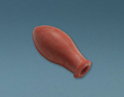 Tétin caoutchouc dure p/pipettes Pasteur X200